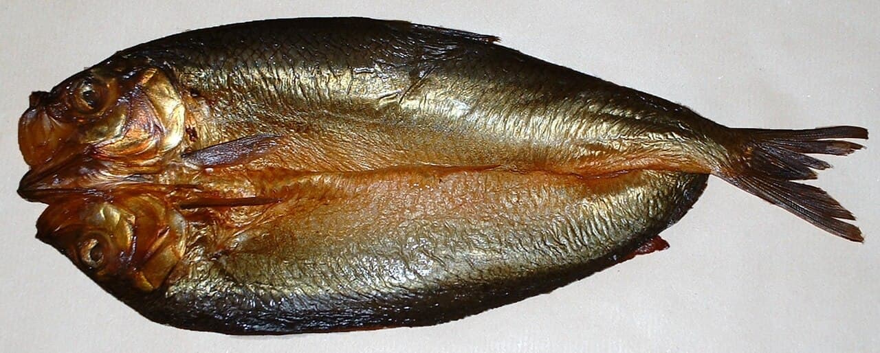 Wędzony śledź (kipper) — dosłowny czerwony śledź, od którego wzięła się metafora red herring