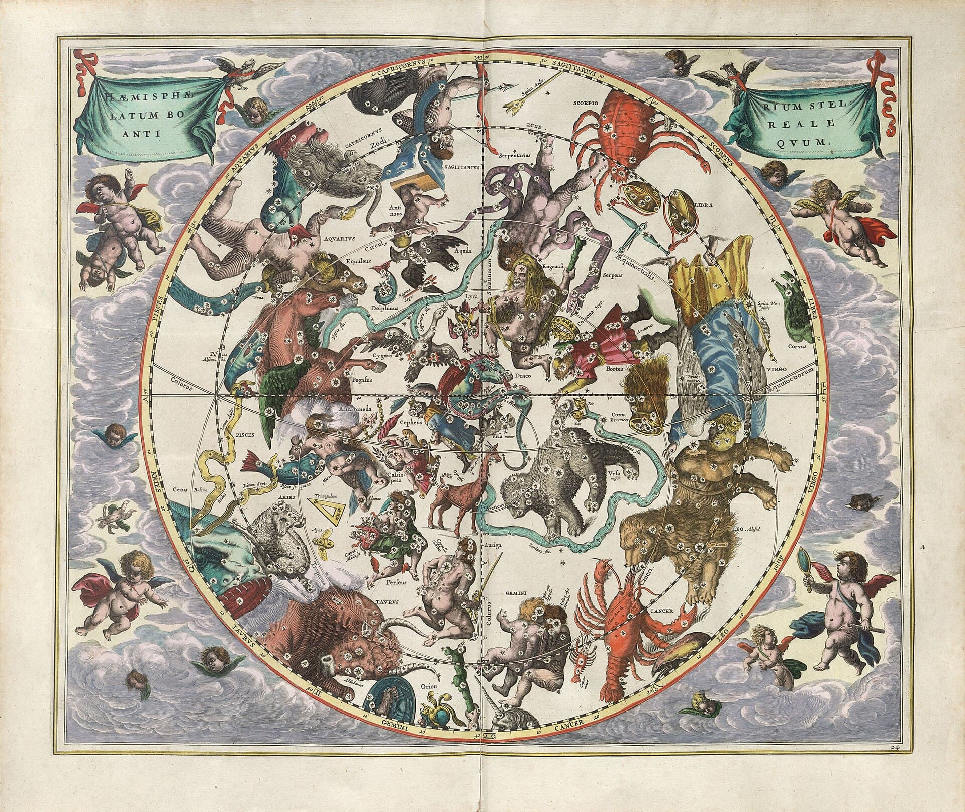 Mapa nieba z atlasu Andreasa Cellariusa Harmonia Macrocosmica, 1660, kolorowany miedzioryt - okrągła tarcza północnej półkuli nieba wypełniona barwnymi rysunkami zwierząt i postaci z rozsypanymi po nich gwiazdami, wśród nich niedźwiedzica, lew, czerwony skorpion, krab i centaur z łukiem; wokół tarczy obłoki i putta z tkaninami, u góry dwie zielone banderole z łacińskim tytułem
