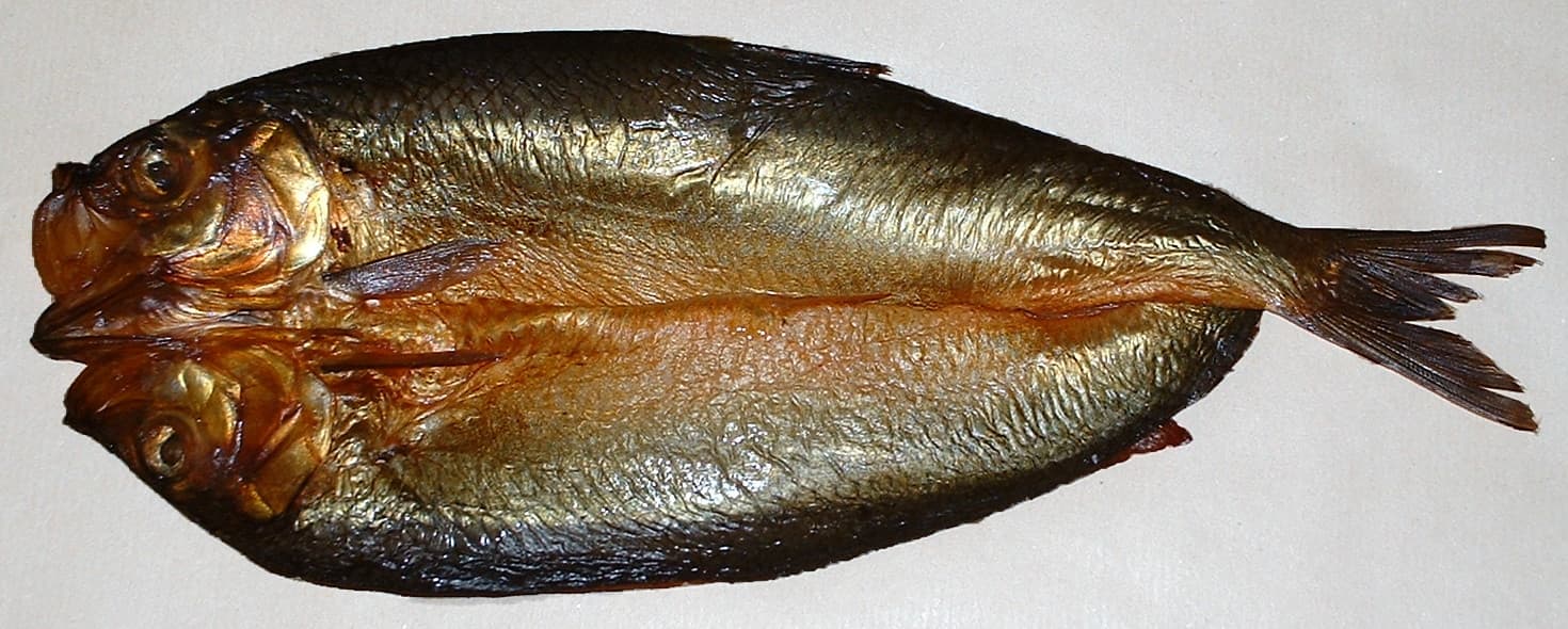Wędzony śledź (kipper) — dosłowny czerwony śledź, od którego wzięła się metafora red herring