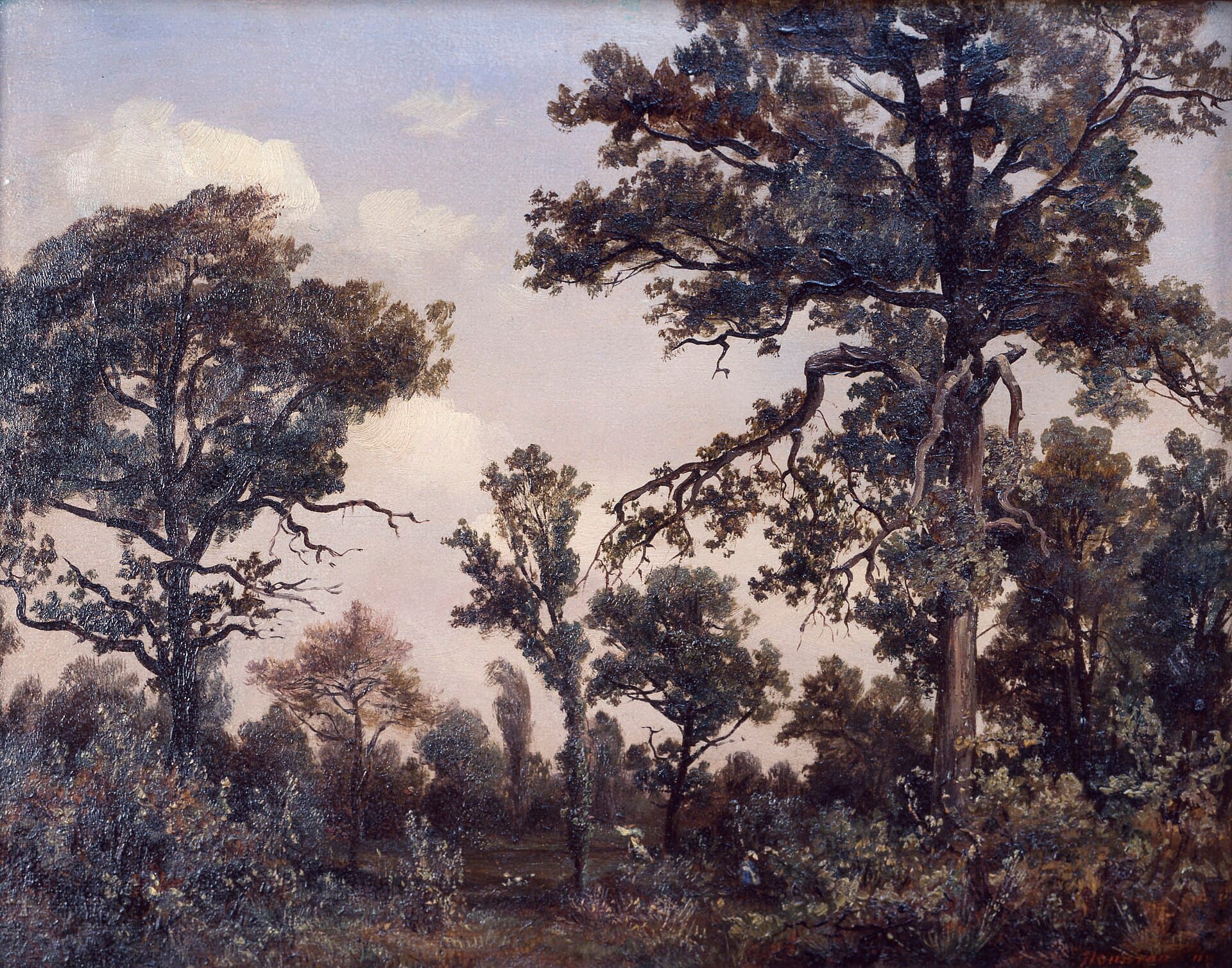 Théodore Rousseau, Wielki dąb w lesie Fontainebleau, XIX w. - stary, sękaty, powykręcany dąb ukształtowany przez dawne rany ukryte pod korą
