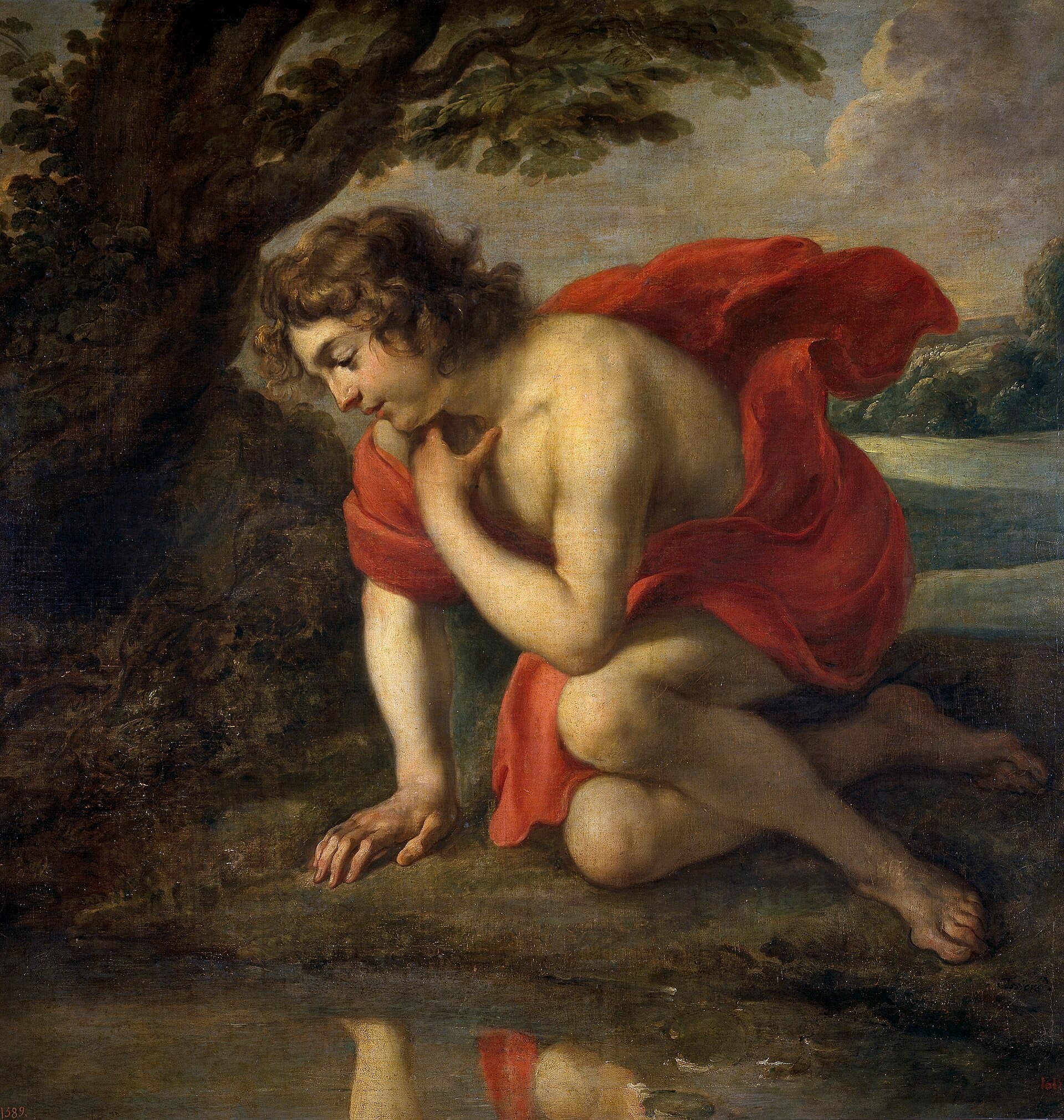 Jan Cossiers, Narcyz, ok. 1636-1638, Muzeum Prado w Madrycie — nagi młodzieniec w rozwianej czerwonej draperii klęczy na brzegu leśnego stawu, opiera dłoń o ziemię i patrzy w dół, a w wodzie pod nim widać wyraźne odbicie jego twarzy i tkaniny; z prawej otwiera się jasny pejzaż z rzeką, którego chłopak w ogóle nie zauważa