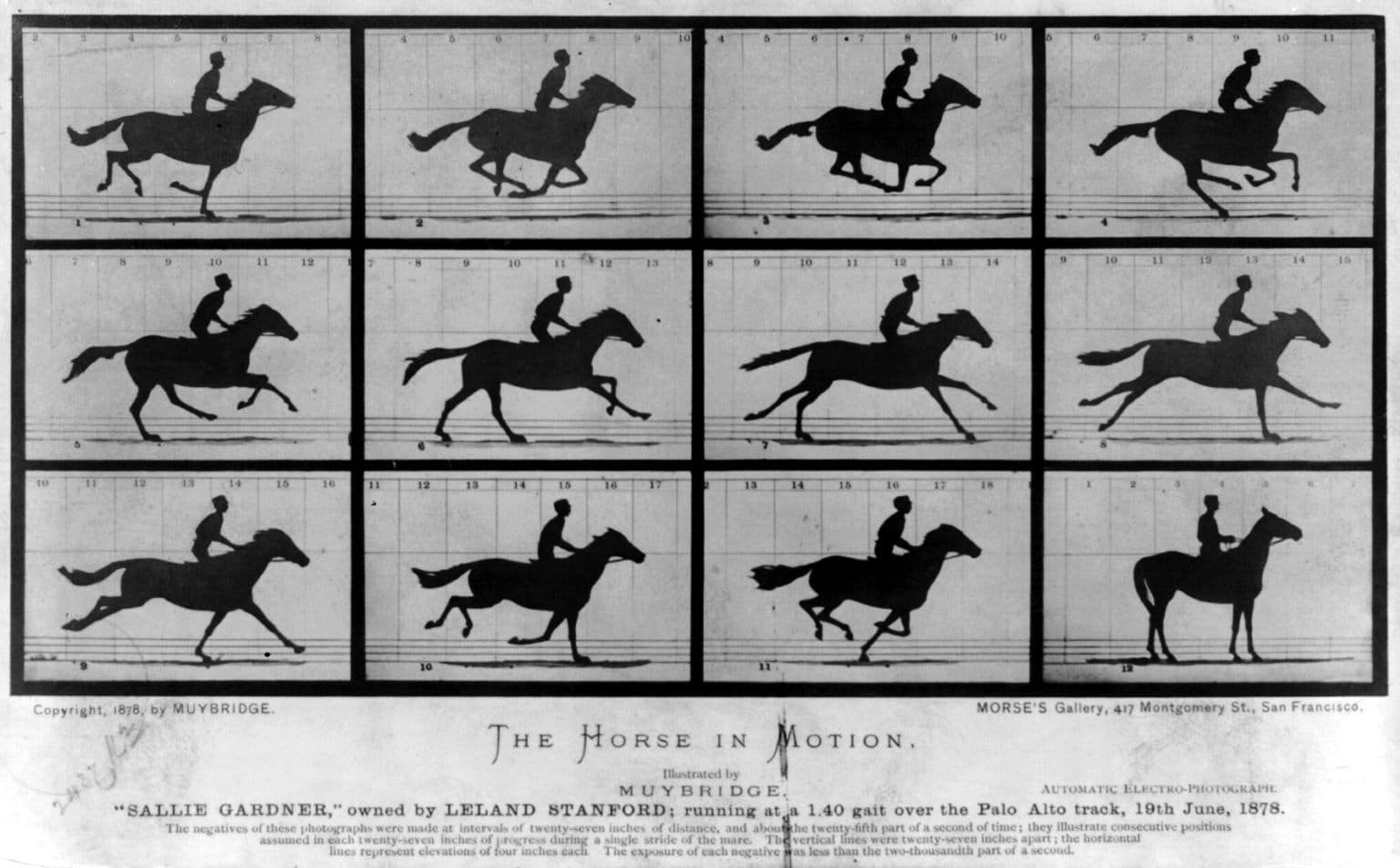 Eadweard Muybridge, Koń w ruchu 1878 — seria następujących po sobie czarno-białych fotografii jeźdźca na galopującym koniu, ułożonych w rzędy na numerowanej siatce; kolejne klatki rozkładają jeden ruch na osobne fazy, a w jednej z nich wszystkie cztery kopyta są oderwane od ziemi; pionierskie studium ruchu i czasu