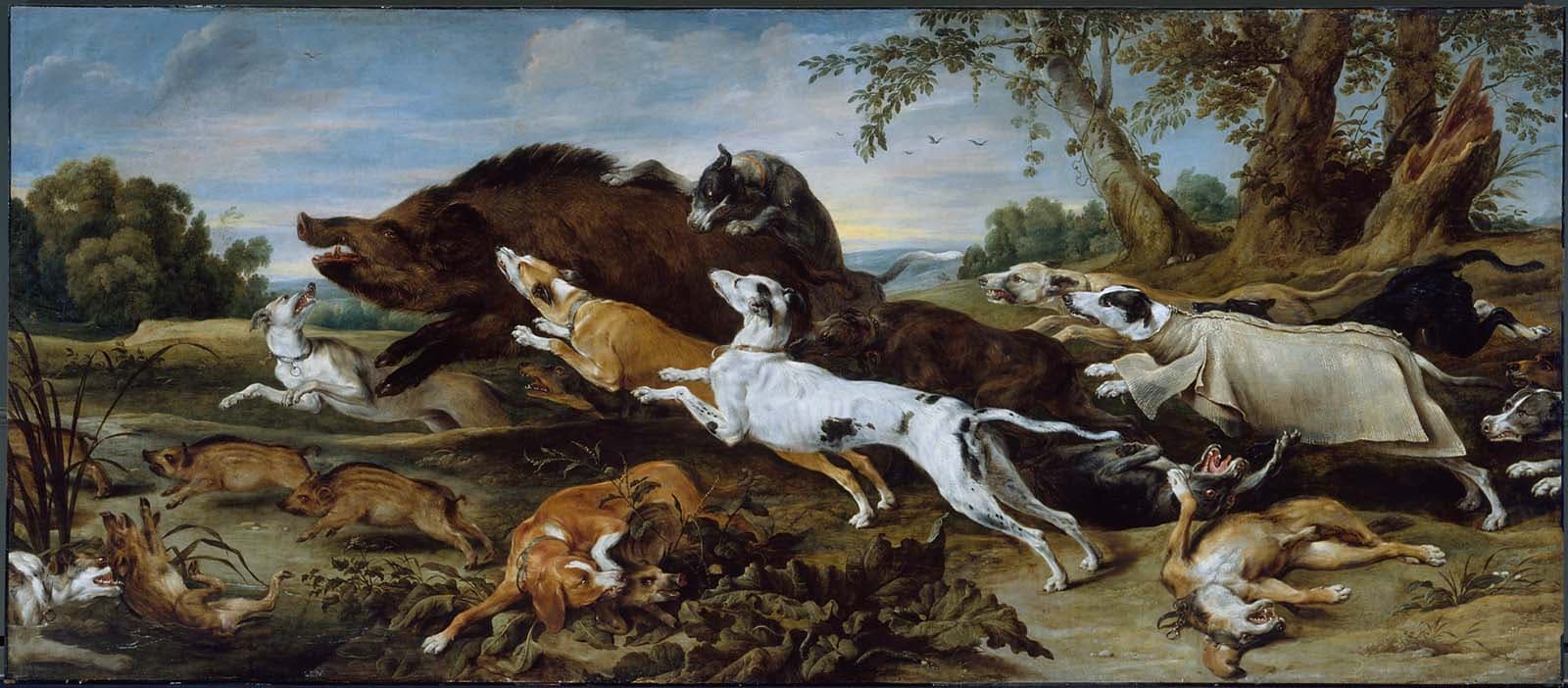 Frans Snyders, Polowanie na dzika (XVII w.) - sfora psów osacza dzika w gąszczu, myśliwi nadbiegają z włóczniami