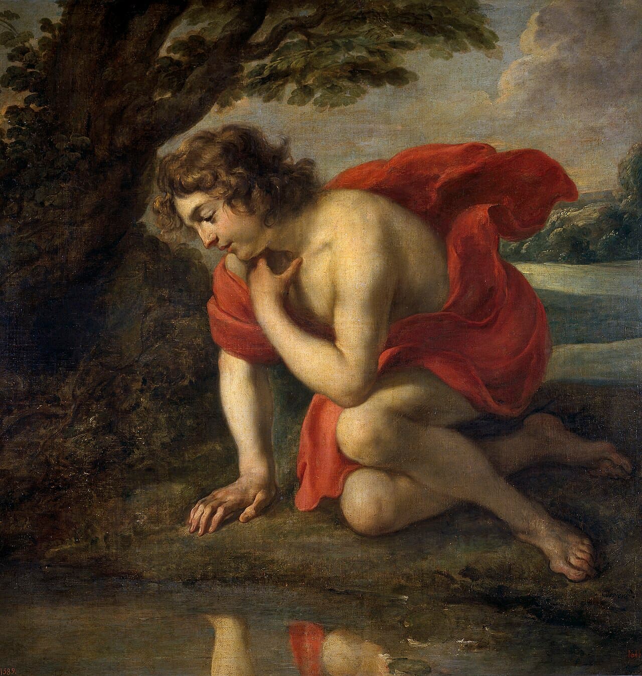 Jan Cossiers, Narcyz, ok. 1636-1638, Muzeum Prado w Madrycie — nagi młodzieniec w rozwianej czerwonej draperii klęczy na brzegu leśnego stawu, opiera dłoń o ziemię i patrzy w dół, a w wodzie pod nim widać wyraźne odbicie jego twarzy i tkaniny; z prawej otwiera się jasny pejzaż z rzeką, którego chłopak w ogóle nie zauważa